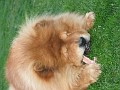 20110425_Paste 058